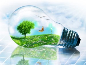 immagine della news sul risparmio energetico